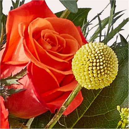 Disco Bouquet –  Henderson Florist, Lebanon TN