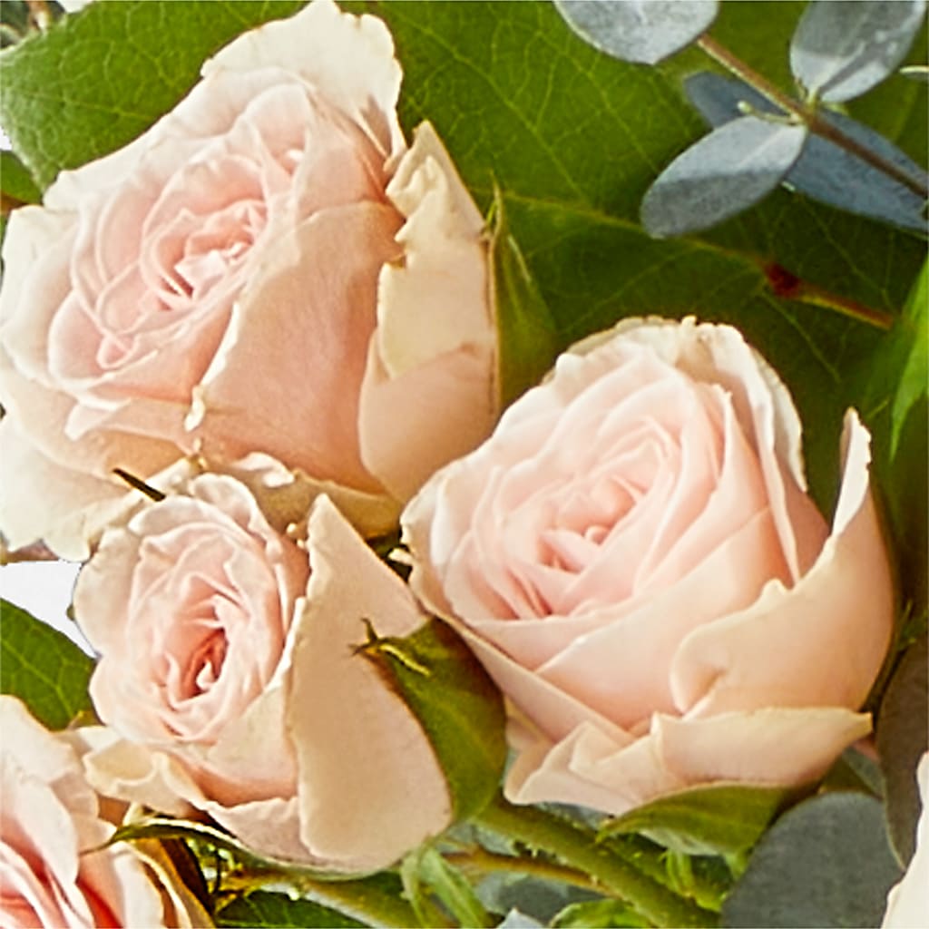 Inspired Bouquet –  Henderson Florist, Lebanon TN