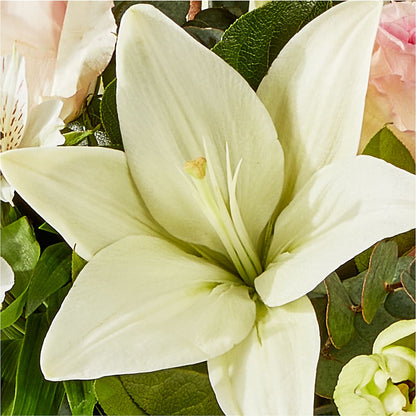 Ballet Slippers Bouquet –  Henderson Florist, Lebanon TN