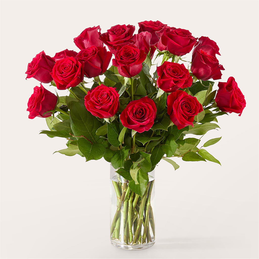 The One Red Rose Bouquet –  Henderson Florist, Lebanon TN