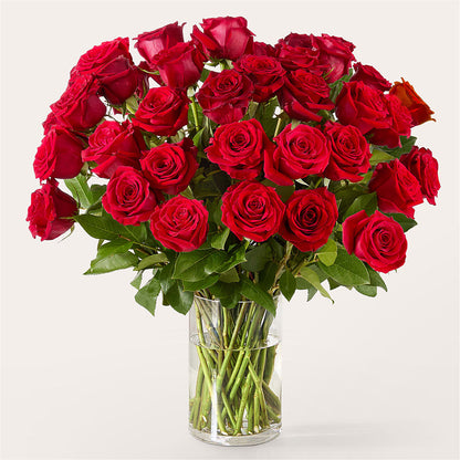 The One Red Rose Bouquet –  Henderson Florist, Lebanon TN