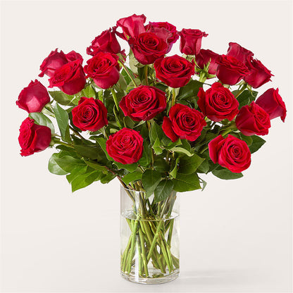 The One Red Rose Bouquet –  Henderson Florist, Lebanon TN