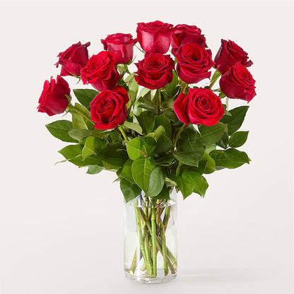 The One Red Rose Bouquet –  Henderson Florist, Lebanon TN