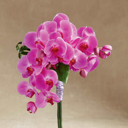 Glorious Bouquet –  Henderson Florist, Lebanon TN