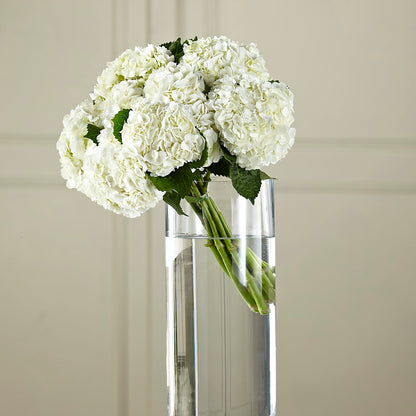 White Hydrangea Hand-Tied Bouquet –  Henderson Florist, Lebanon TN