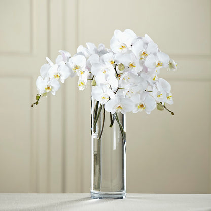 White Phalaenopsis Bouquet –  Henderson Florist, Lebanon TN