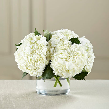 White Hydrangea Bouquet –  Henderson Florist, Lebanon TN